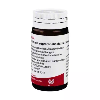 Glandula suprarenalis Dextra c., 20 γρ