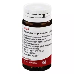 GLANDULAE SUPRARENALES comp. σφαιρίδια, 20 g