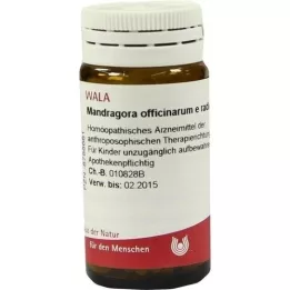 MANDRAGORA OFFICINARIUM e radice D 6 σφαιρίδια, 20 g