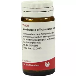 MANDRAGORA OFFICINARIUM e radice D 6 σφαιρίδια, 20 g