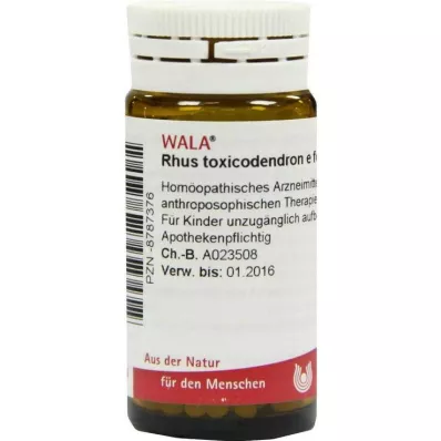 Rhus toxicodendron E foliis D 6 σφαιρίδια, 20 g