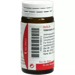 VALERIANA COMP.Σφαιρίδια, 20 g
