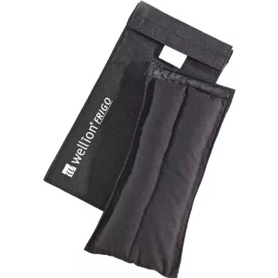 Wellion Frigo L med cooler bag, 1 τεμ Wellion Frigo L med cooler bag, 1 τεμ