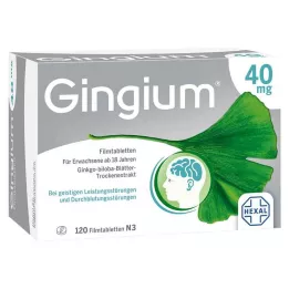 GINGIUM Επικαλυμμένα με λεπτό υμένιο δισκία 40 mg, 120 τεμάχια