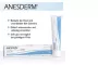 Instructions for use for ANESDERM 25 mg/g + 25 mg/g κρέμας + έμπλαστρο, 5 g - 2
