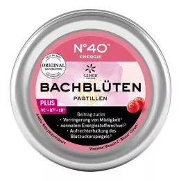 ENERGIE BACHBLÜTENPASTILLEN σύμφωνα με τον Dr Bach, 50 g