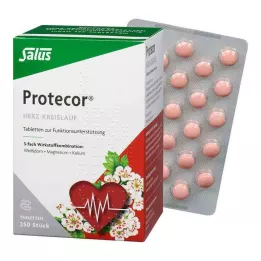 PROTECOR Καρδιαγγειακό Tabl.z.Funktionsunt.Salus, 250 St