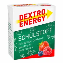 DEXTRO ENERGY Ταμπλέτα δασικών φρούτων Schulstoff, 50 g