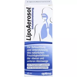 LIPOAEROSOL λιποσωμικό διάλυμα εισπνοής, 45 ml