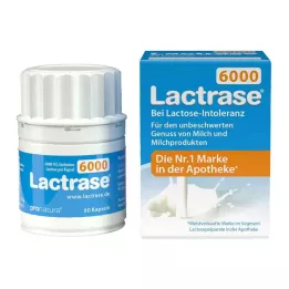 LACTRASE 6.000 FCC Κάψουλες, 60 τεμάχια