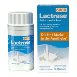 LACTRASE 6.000 FCC Κάψουλες, 100 τεμάχια