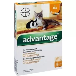 ADVANTAGE 40 mg διάλυμα για μικρές γάτες/ μικρά διακοσμητικά κουνέλια, 4Χ0,4 ml