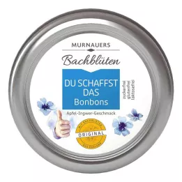 BACHBLÜTEN Murnauers You can do it γλυκά, 50 g