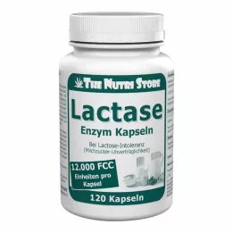 LACTASE 12.000 FCC Κάψουλες ενζύμων, 120 τεμ