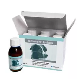 RECONVALES Τονωτικό για σκύλους, 6X90 ml