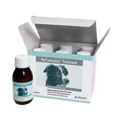 Reconvales Tonic for Dogs, 6X90 ml