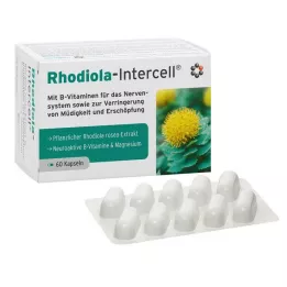 RHODIOLA-INTERCELL Κάψουλες, 60 τεμάχια