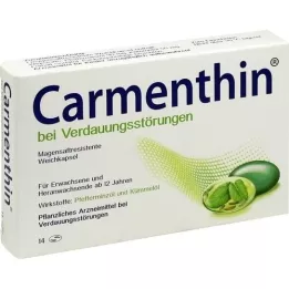 CARMENTHIN για δυσπεψία msr.soft κάψουλες, 14 τεμάχια