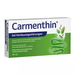 CARMENTHIN για δυσπεψία msr.soft κάψουλες, 14 τεμάχια
