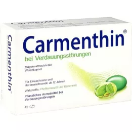 CARMENTHIN για δυσπεψία msr.soft κάψουλες, 42 τεμάχια