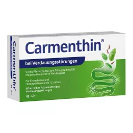 CARMENTHIN για δυσπεψία msr.soft κάψουλες, 42 τεμάχια