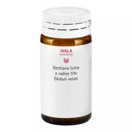 GENTIANA LUTEA 5% μητρικό βάμμα globuli velati, 20 g