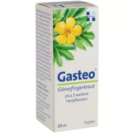 GASTEO Από του στόματος σταγόνες, 20 ml