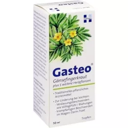 GASTEO Από του στόματος σταγόνες, 50 ml