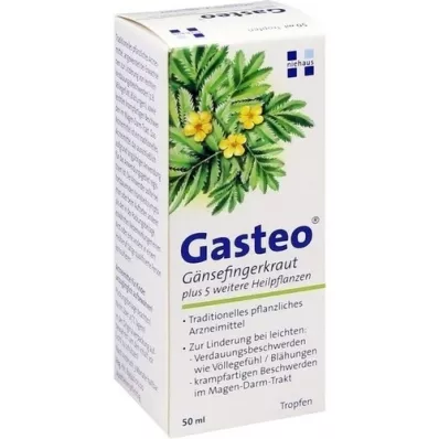 GASTEO Από του στόματος σταγόνες, 50 ml