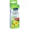 KNEIPP Αλοιφή Arnica S, 20 g