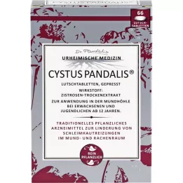 CYSTUS Παστίλιες Pandalis, 66 τεμάχια