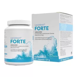 LACTOBACT Forte κάψουλες με εντερική επικάλυψη, 120 κάψουλες