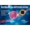THOMAPYRIN TENSION DUO 400 mg/100 mg επικαλυμμένα με λεπτό υμένιο δισκία, 12 τεμάχια