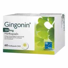 GINGONIN Σκληρές κάψουλες 120 mg, 60 τεμάχια