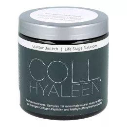 COLLHYALEEN Σκόνη για πόσιμο διάλυμα, 180 g
