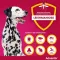 Advantix Spot-on διάλυμα dog 25 - 40 kg, 4X4,0 ml