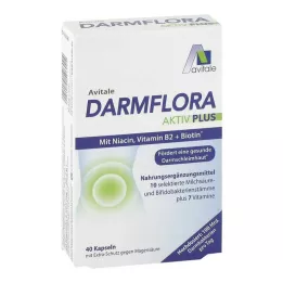 DARMFLORA Active Plus 100 δισεκατομμύρια βακτήρια + 7 βιταμίνες, 40 τεμάχια
