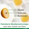 CURCUMIN-LOGES συν κάψουλες Boswellia, 120 κάψουλες