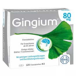 Gingium 80 mg επικαλυμμένα με λεπτό υμένιο δισκία, 120 τεμ
