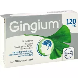 GINGIUM 120 mg επικαλυμμένα με λεπτό υμένιο δισκία, 30 τεμάχια