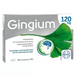 Gingium 120 mg επικαλυμμένα με λεπτό υμένιο δισκία, 30 τεμ