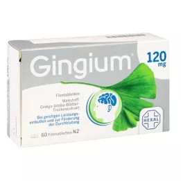 GINGIUM 120 mg επικαλυμμένα με λεπτό υμένιο δισκία, 60 τεμάχια