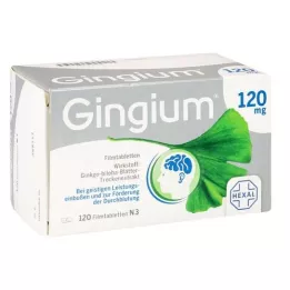 GINGIUM 120 mg επικαλυμμένα με λεπτό υμένιο δισκία, 120 τεμάχια
