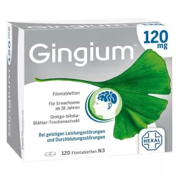 GINGIUM 120 mg επικαλυμμένα με λεπτό υμένιο δισκία, 120 τεμάχια