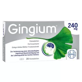 Gingium 240 mg επικαλυμμένα με λεπτό υμένιο δισκία, 20 τεμ