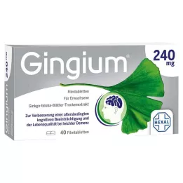 Gingium 240 mg επικαλυμμένα με λεπτό υμένιο δισκία, 40 τεμ