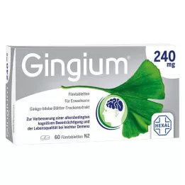 Gingium 240 mg επικαλυμμένα με λεπτό υμένιο δισκία, 60 τεμ