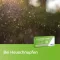Loratadine axicur® δισκία 10 mg, 7 τεμ