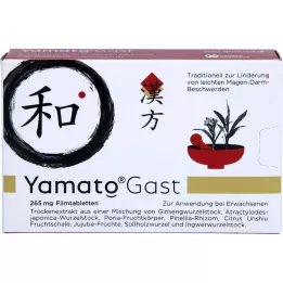 YAMATOGAST επικαλυμμένα με λεπτό υμένιο δισκία των 265 mg, 27 τεμάχια