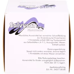 SALVYSAT επικαλυμμένα με λεπτό υμένιο δισκία 300 mg, 90 τεμάχια